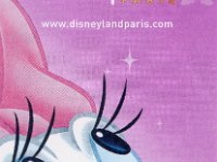 Mels DLP Ticket